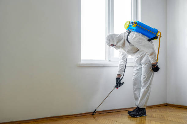 Best Real Estate Pest Inspections  in Siler City, NC